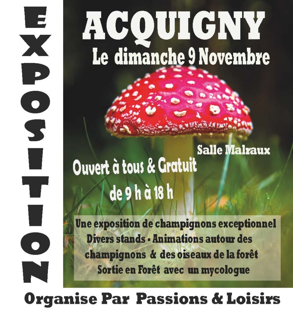 EXPOSITION CHAMPIGNONS 9 NOVEMBRE 2025