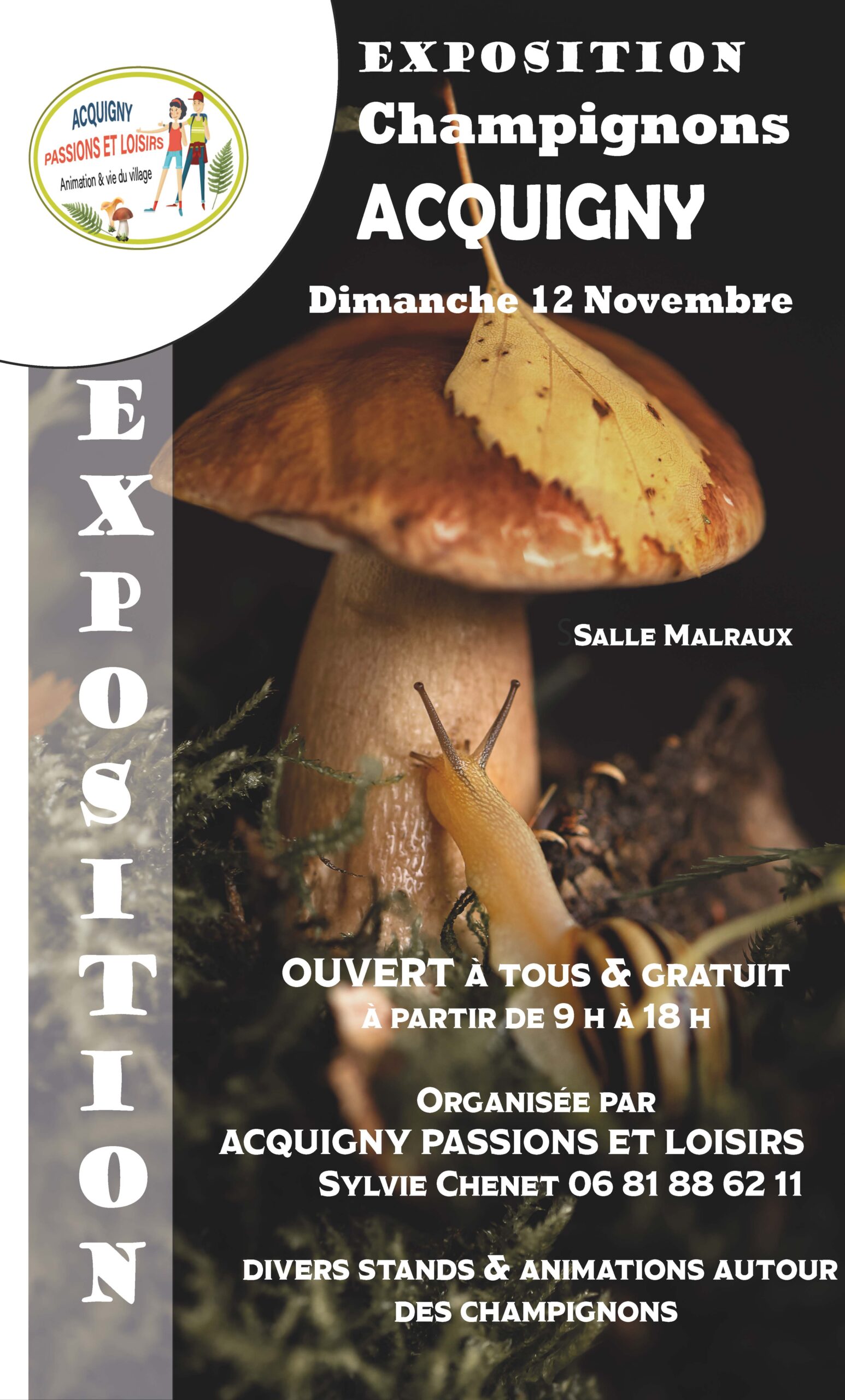 6 ème expositions de champignons acquigny